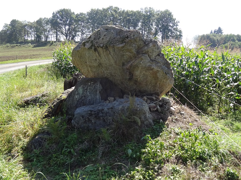 Click for full size image of Dolmen du Reineix (PID:178087) Dolmen du Reineix