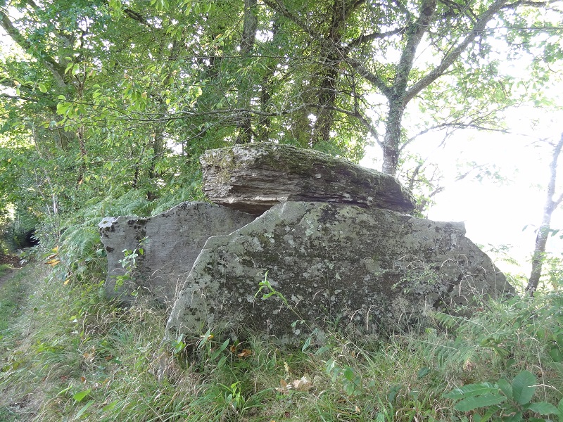 Click for full size image of Dolmen de la Tamanie (PID:178029) Dolmen de la Tamanie
