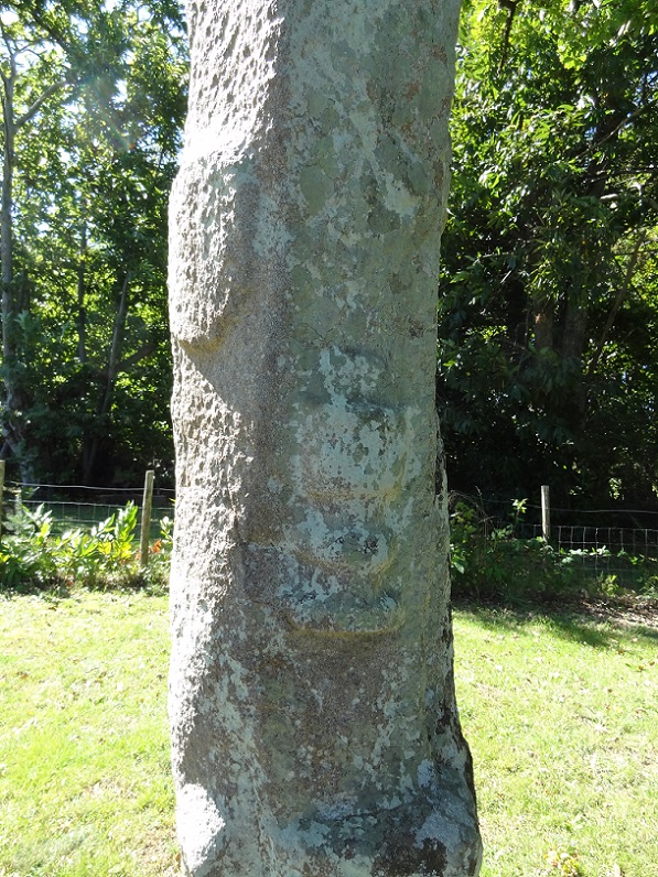 Menhir de la Croix Parot