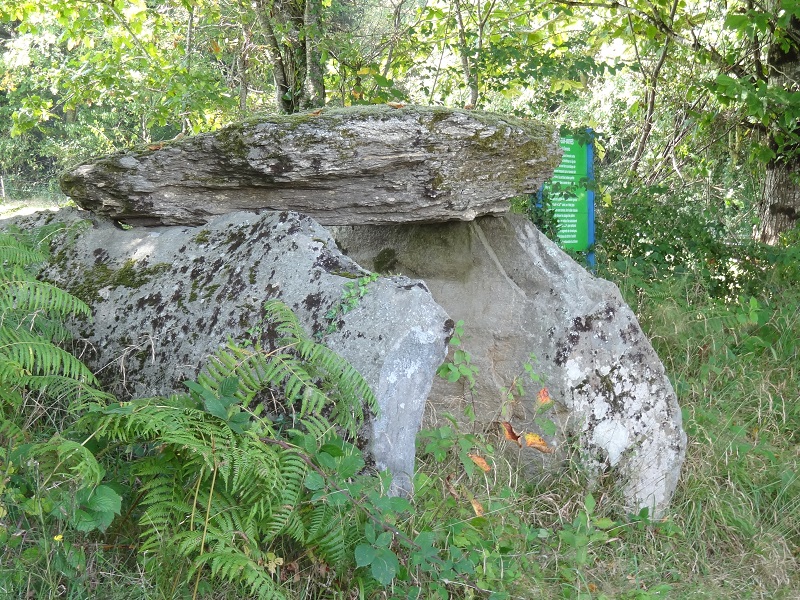 Click for full size image of Dolmen de la Tamanie (PID:178030) Dolmen de la Tamanie
