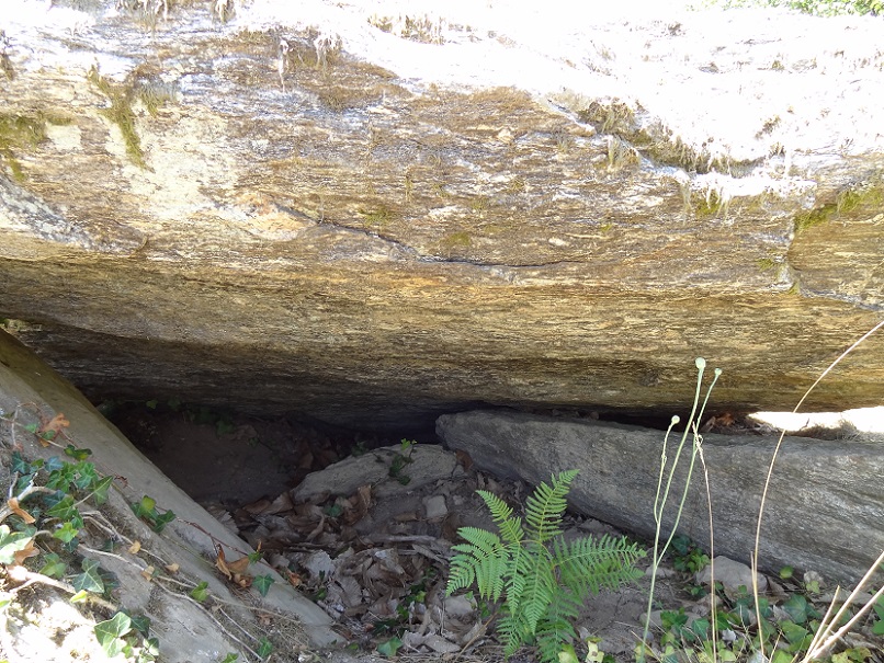 Click for full size image of Dolmen de Laborderie (PID:177569) Dolmen de Laborderie