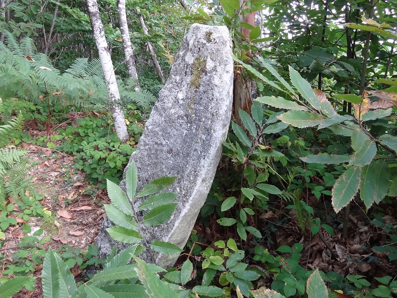 Click for full size image of Menhir de La Grande-Borne (PID:178044) Menhir de La Grande-Borne