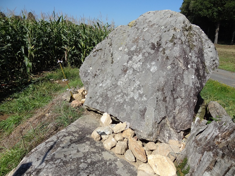 Click for full size image of Dolmen du Reineix (PID:178088) Dolmen du Reineix