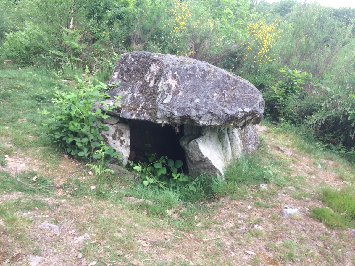 Dolmen du Four des Fades 1 (PID:242870) Dolmen du Four des Fades 1