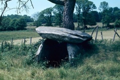 La Cabane de la F�e - PID:47665