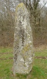 Pierre a Cupules (Arnac) - PID:20470