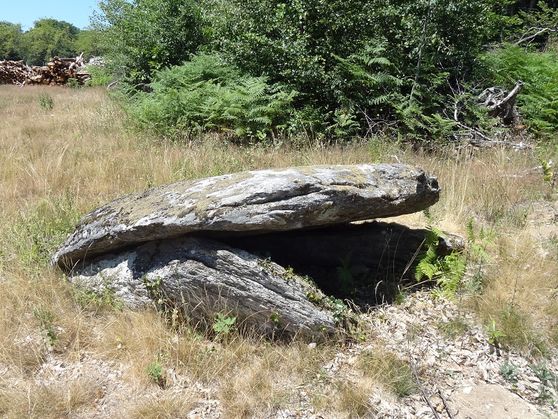 Click for full size image of Dolmen de Laborderie (PID:177571) Dolmen de Laborderie