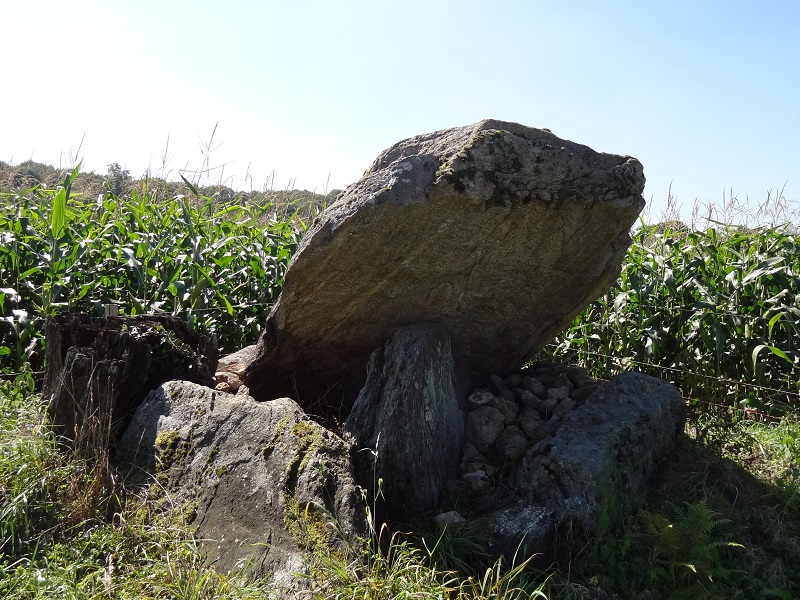 Click for full size image of Dolmen du Reineix (PID:178086) Dolmen du Reineix