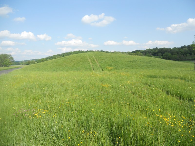 Click for full size image of Champ des Courses Tumulus (PID:77133) Champ des Courses Tumulus