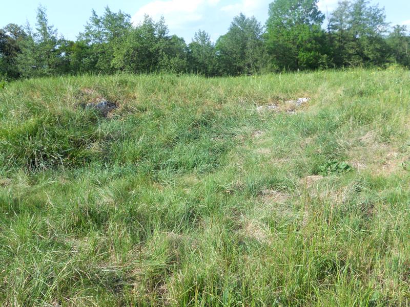 Click for full size image of Champ des Courses Tumulus (PID:77135) Champ des Courses Tumulus