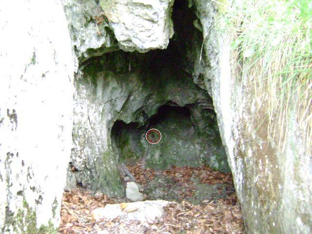 Vallée du Riberot Cave
