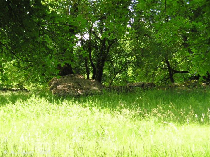 Bouyé dolmen