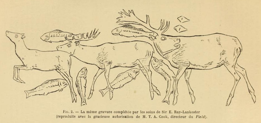 Click for full size image of Lortet (PID:99486) Lortet