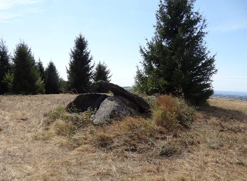 Dolmen de Peyro Lebado (Crespin)