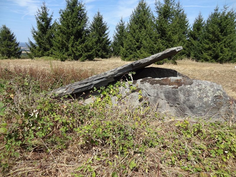 Dolmen de Peyro Lebado (Crespin)