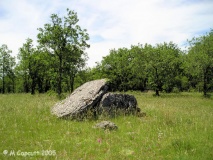 Vayssi�res dolmen - PID:89865