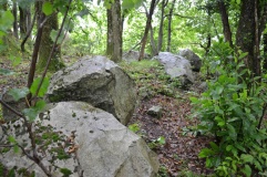 Cromlech de Peyrebrune - PID:91302
