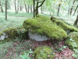 Click for full size image of Dolmen de la Combe du Cornier (PID:176122) Dolmen de la Combe du Cornier