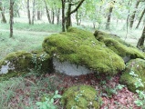 Dolmen de la Combe du Cornier