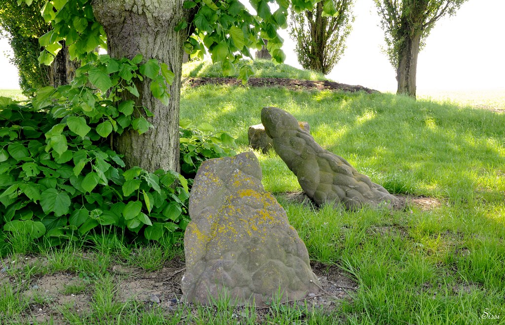 Cromlech de Niergnies