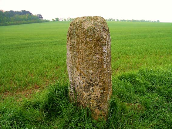 Click for full size image of Menhir des Planches (PID:75741) Menhir des Planches