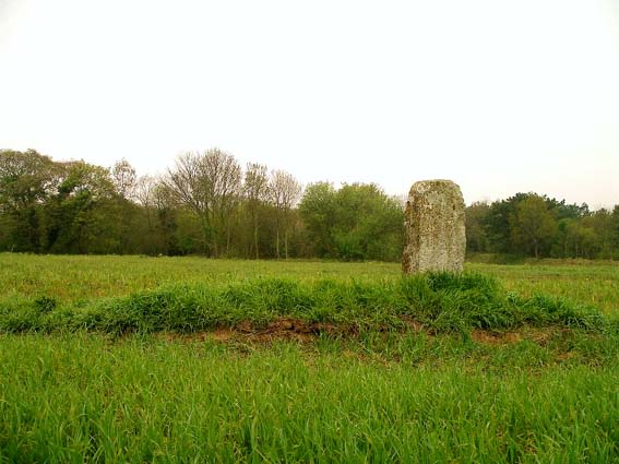 Menhir des Planches (PID:75742) Menhir des Planches