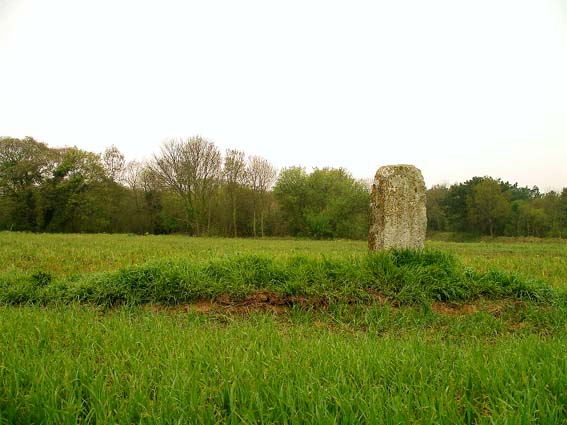 Menhir des Planches