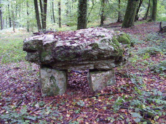 Click for full size image of Lépinardière Dolmen (PID:96503) Lépinardière Dolmen