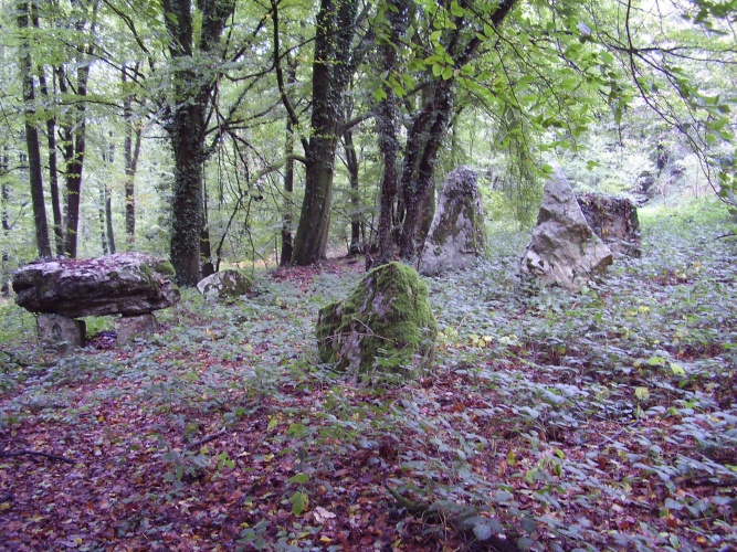 Lépinardière Dolmen