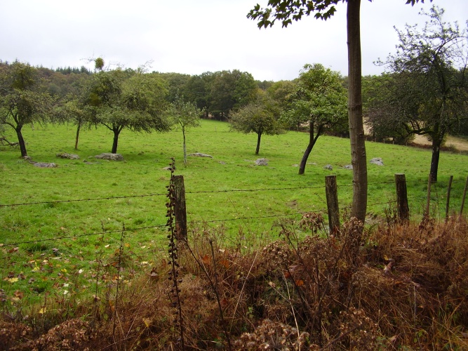 Lépinardière Dolmen