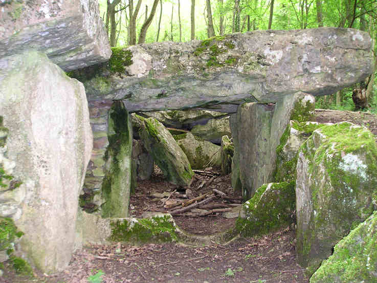 Allée Couverte de Dampsmesnil (PID:13594) Allée Couverte de Dampsmesnil
