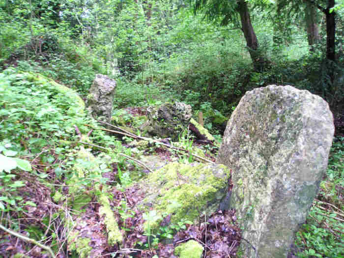 Allée Couverte de Mauny