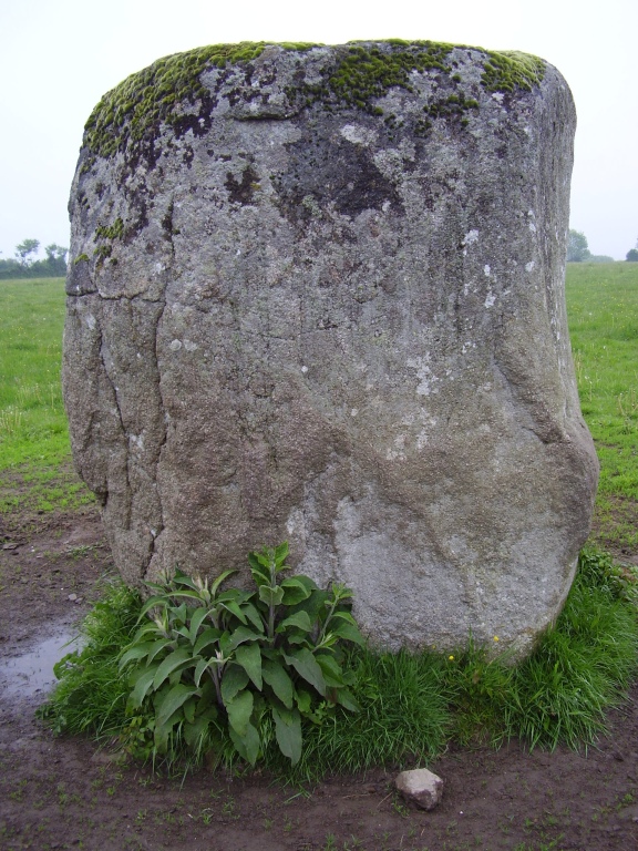 Menhir dit Pierre du Diable (Vaumoisson)