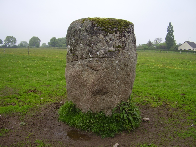 Click for full size image of Menhir dit Pierre du Diable (Vaumoisson) (PID:107767) Menhir dit Pierre du Diable (Vaumoisson)