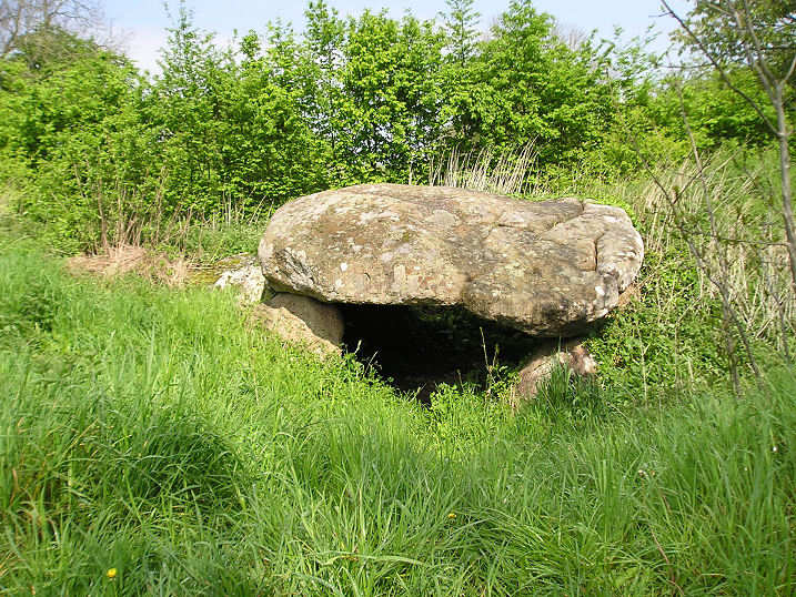 Click for full size image of Dolmen dit Pierre-aux-Bignes (PID:17345) Dolmen dit Pierre-aux-Bignes