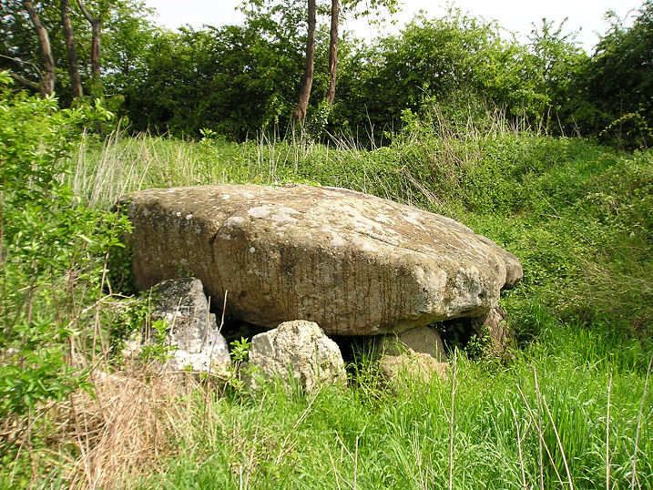 Dolmen dit Pierre-aux-Bignes