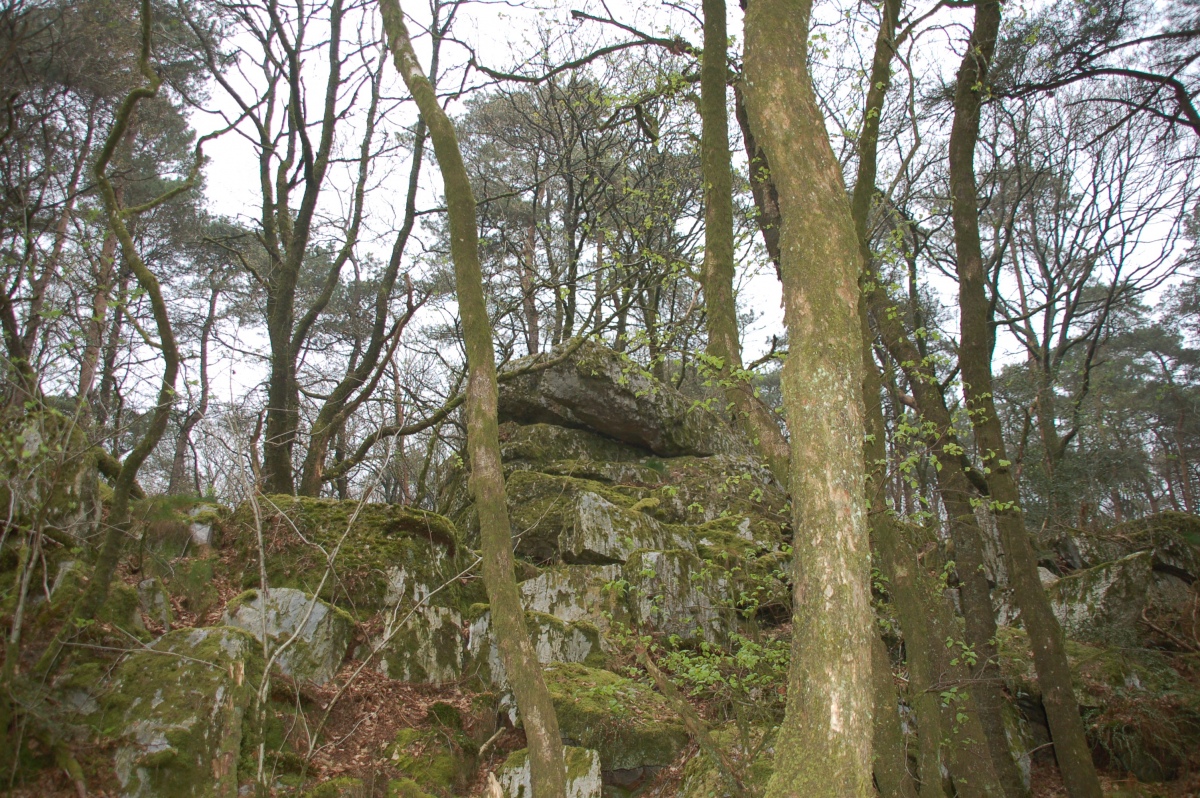 Rocher du Dolmen (Mortain)