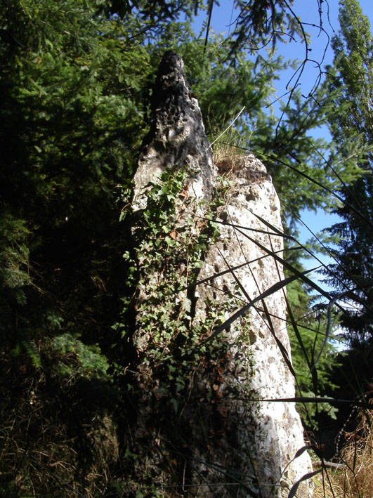 Menhir dit Gravier de Gargantua (Chateau-Neuf)