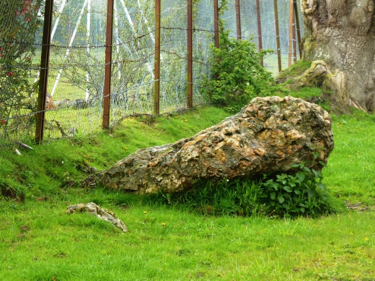 Menhir Couché Lieu Gobin