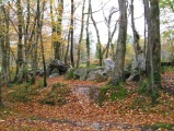 Click for full size image of Petite Roche allée couverte (PID:11108) Petite Roche allée couverte