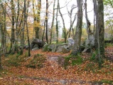 Petite Roche allée couverte