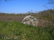 St-Malo-de-la-Lande menhir - PID:33521