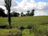 Click for full size image of la Loge aux Sarrasins (PID:33496) la Loge aux Sarrasins