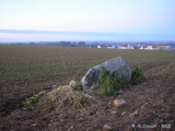 Menhir dit Pierre Debout (Reviers) submitted by thecaptain