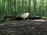 Click for full size image of Allée Couverte de Dampsmesnil (PID:140354) Allée Couverte de Dampsmesnil
