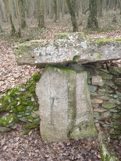 Click for full size image of Allée Couverte de Dampsmesnil (PID:87944) Allée Couverte de Dampsmesnil