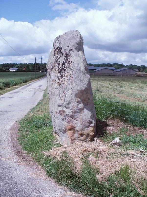 Click for full size image of Menhir dit la Longue-Pierre (Landepéreuse) (PID:181301) Menhir dit la Longue-Pierre (Landepéreuse)