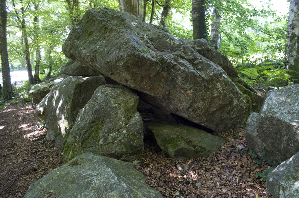 Petite Roche allée couverte