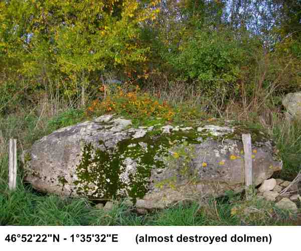 L'Ancien Jardin D'un Druide Celtic (PID:84781) L'Ancien Jardin D'un Druide Celtic