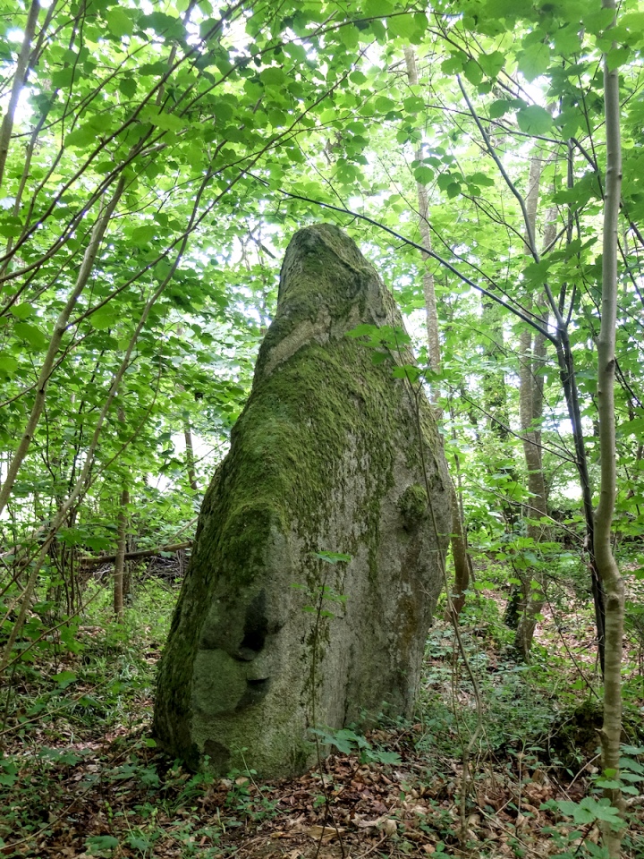 Menhir de la Chablère (PID:289461) Menhir de la Chablère